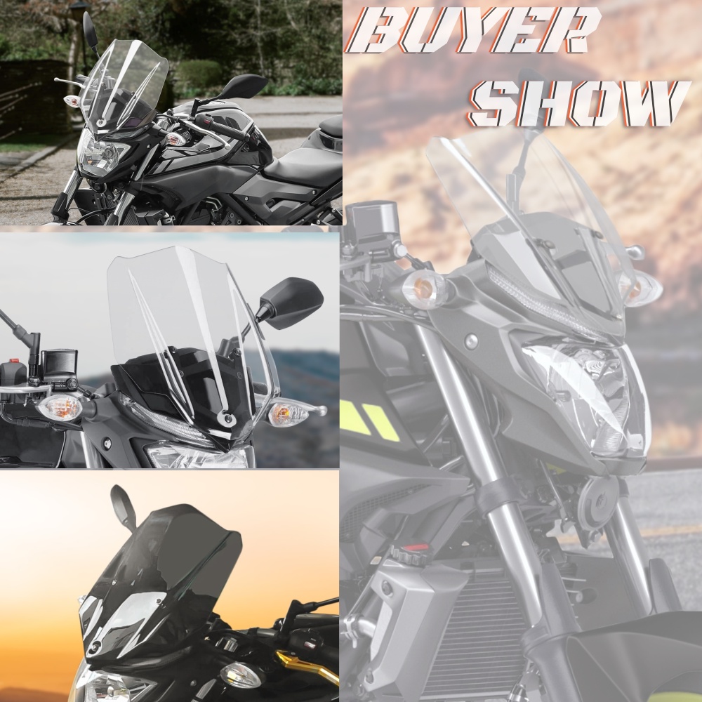 Kính Chắn Gió MT 03 Kèm Giá Đỡ Dành Cho Xe Mô Tô Yamaha MT-03 MT03 FZ-03 FZ03 2016 2017 2018 2019 MT25