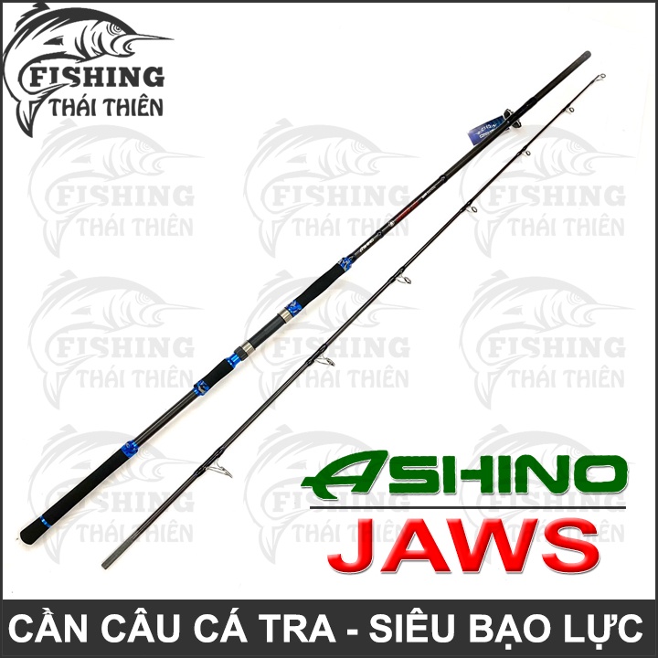 Cần Câu Cá Tra Ashino Jaws Cần Carbon 2 Khúc Máy Đứng Chuyên Câu Bạo Lực