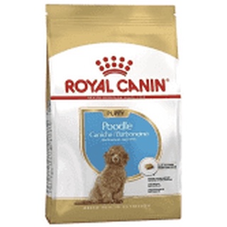 Thức ăn dành riêng cho chó Poodle nhỏ dưới 10 tháng Royalcanin 500g