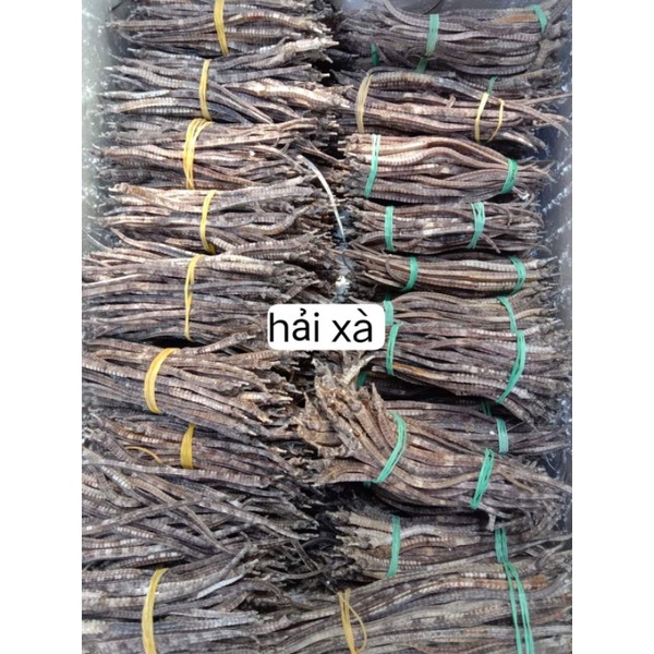COMBO 10 CON HẢI XÀ