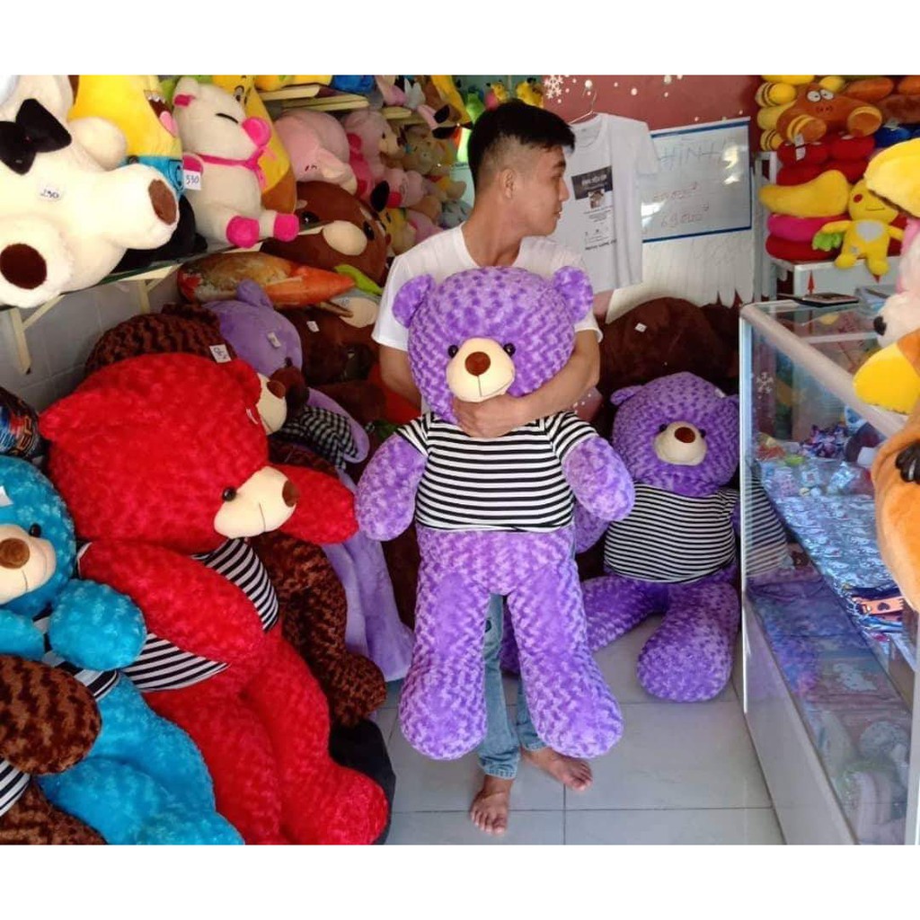 Gấu bông teddy khổ vải 1m2