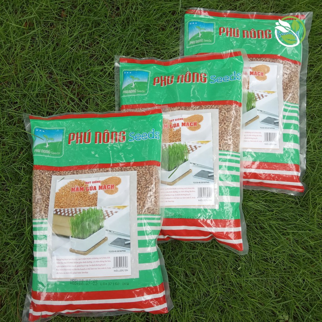 Hạt Giống Mầm Lúa Mạch Phú Nông - Bao 1kg