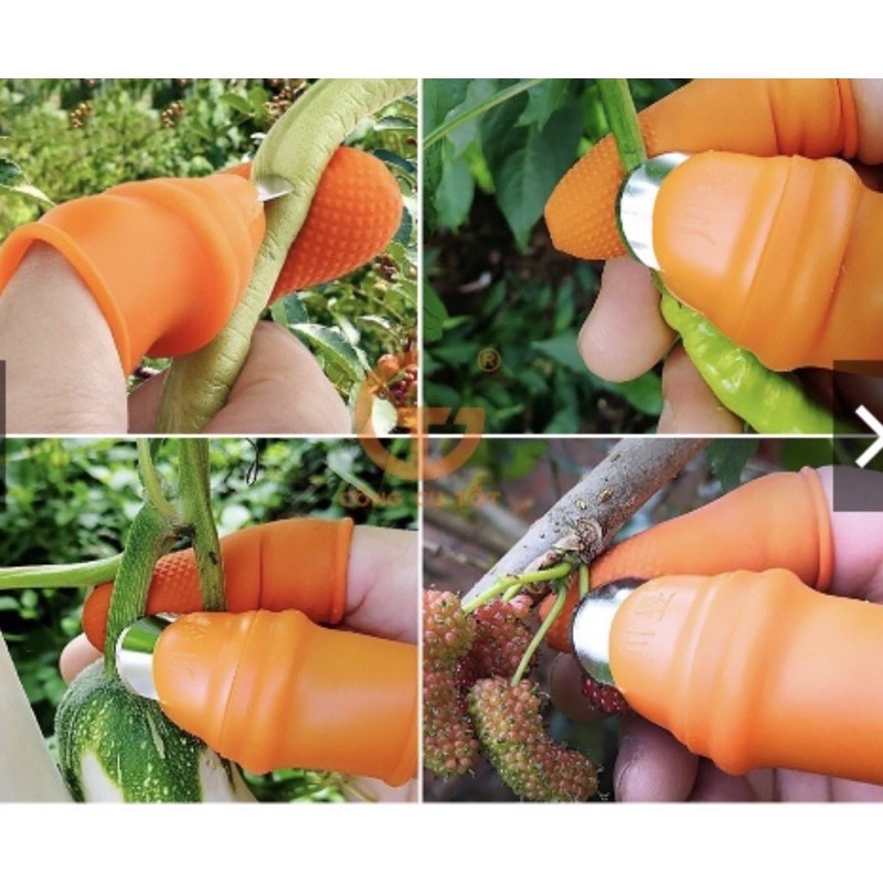 Bộ móng nhặt rau củ quả chống bẩn móng tay, ngón cái bấm cắt rau củ quả