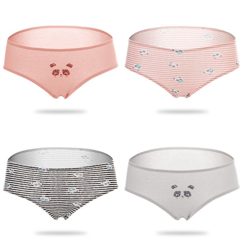 HỘP 04 QUẦN LÓT COTTON CHẤT ĐẸP (QL0024)