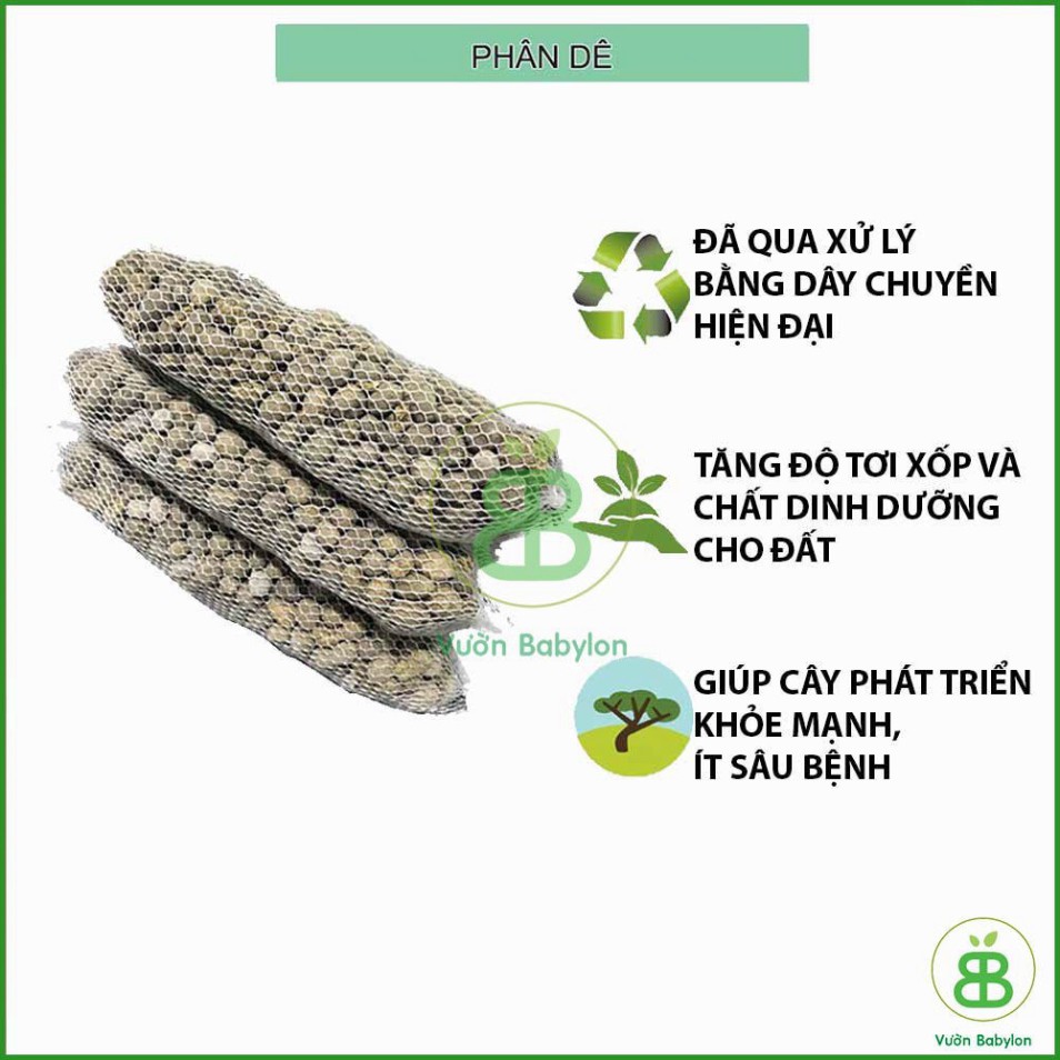 Phân Dê Túi Lưới ⚜️FREESHIP⚜️ Bón Lan combo 20 túi 10cm Tiện Dụng [ Đã Xử Lý Nấm ]