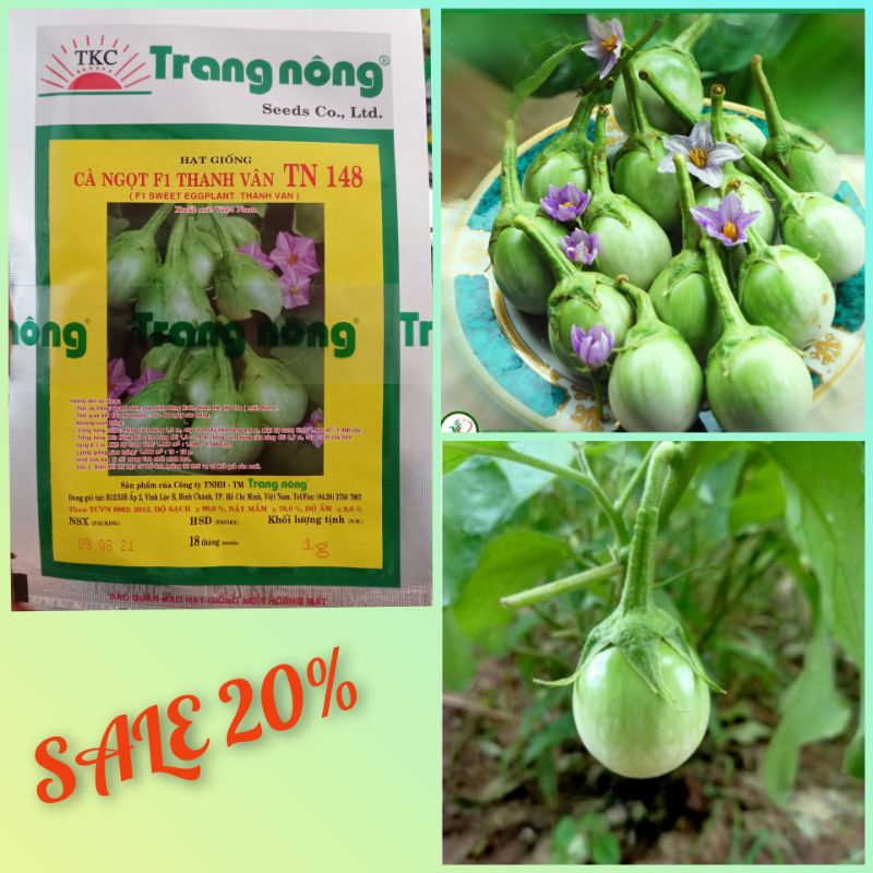 Hạt giống cà ngọt siêu giòn Thanh Vân gói hơn 200 hạt