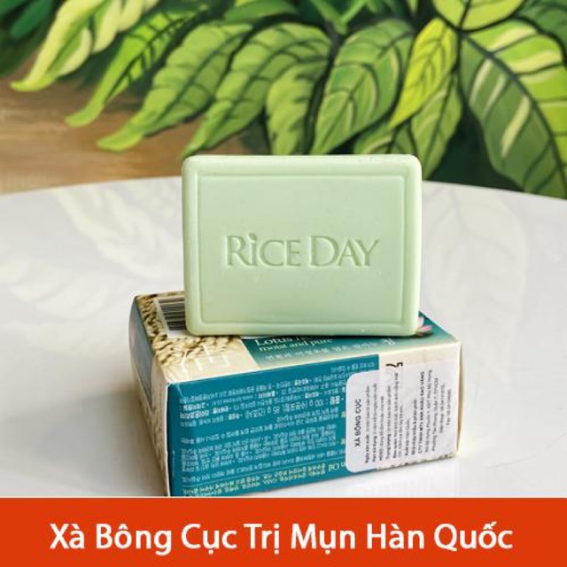 XÀ BÔNG CỤC RICE DAY LOTUS HÀN QUỐC CHO NAM/NỮ 100GR | BigBuy360 - bigbuy360.vn