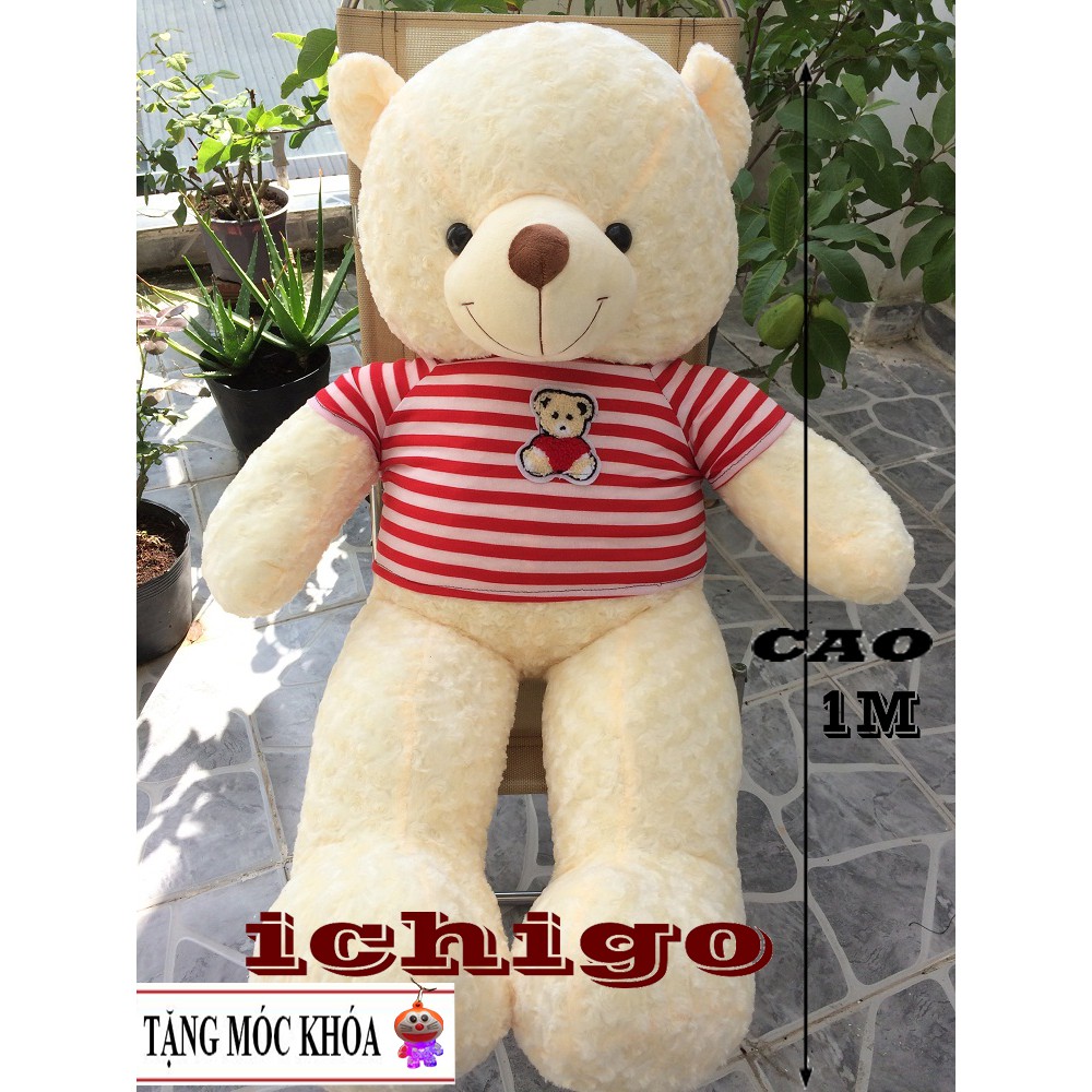 GẤU BÔNG TEDDY khổ vải 1m2 màu kem ĐẢM BẢO 100% GÒN