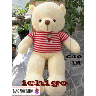 Gấu bông Teddy Cao Cấp khổ vải 1m2 Cao 1M màu kem hàng VNXK