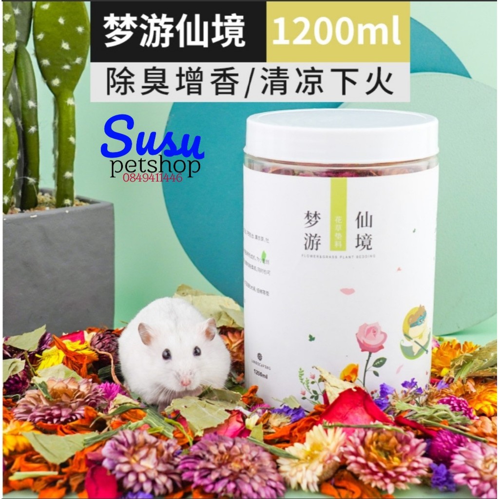 Hoa khô lót chuồng cho hamster (JONSANTY)