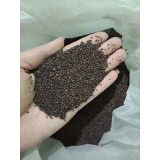 Combo 2kg 150k hat man ri hoa vang