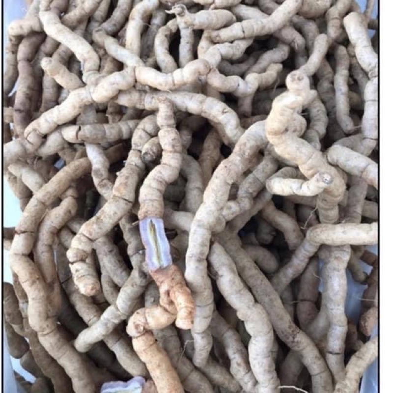 1kg Ba kích nguyên củ hàng việt nam loại 1