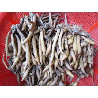 Củ ngải bún tươi (củ ngải bún) - 500g