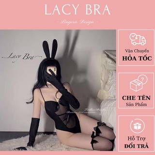 Bodysuilts Cosplay Thỏ Đen Voan Mỏng Sexy Lacy Bra (Kèm Phụ Kiện) - S3