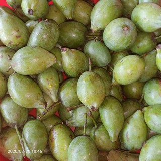 Quả dọc Phú Thọ