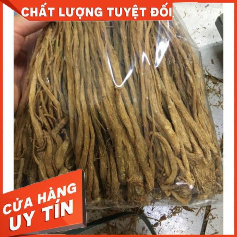 Sâm đương quy khô ngâm rượu rất tốt