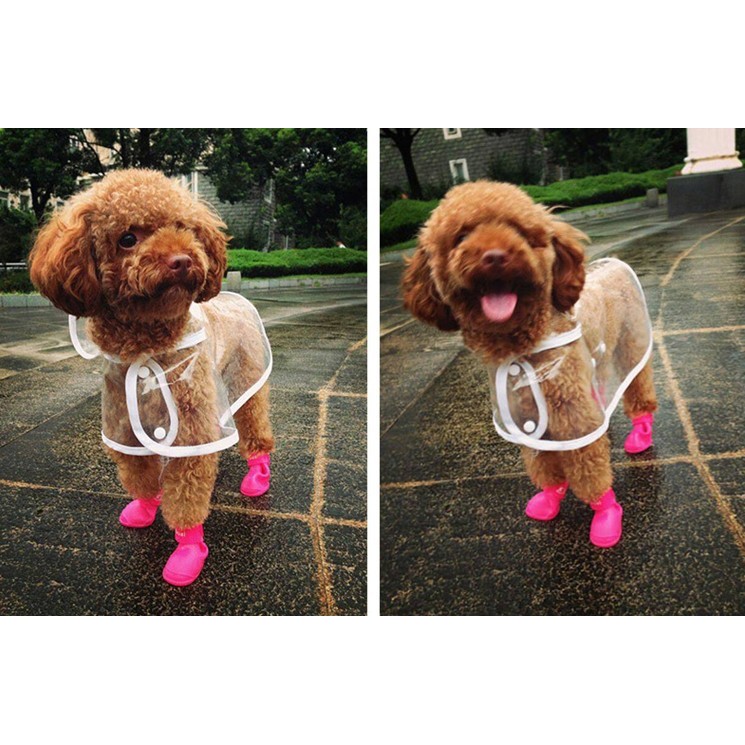 Áo mưa chó mèo