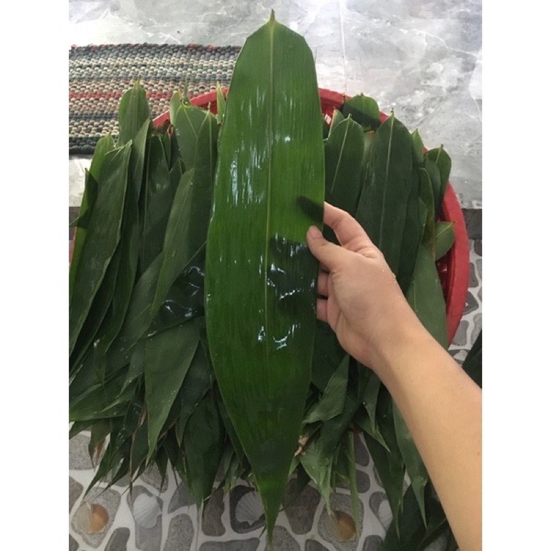 60 LÁ TRE TƯƠI GÓI BÁNH