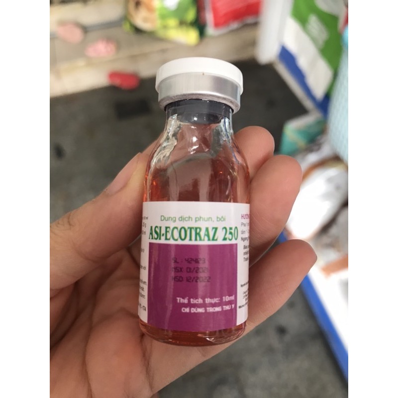 AMITRAZ TẮM CHO CHÓ MÈO BỊ GHẺ, NẤM HIỆU QUẢ CAO