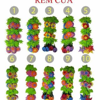 Combo trang trí lớp