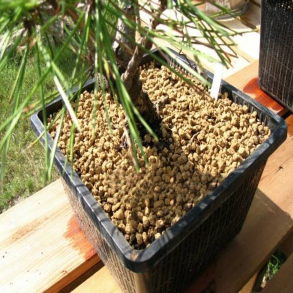 1 kg Đất trồng bonsai Akadama Nhật Bản Loại cứng kích thước hạt Size SS ( từ 1~3mm)