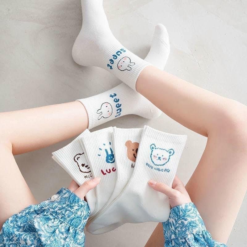 tất con gấu