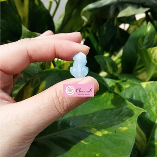 Tỳ hưu xanh aqua mini