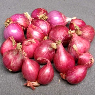 Hành tím (củ khô)