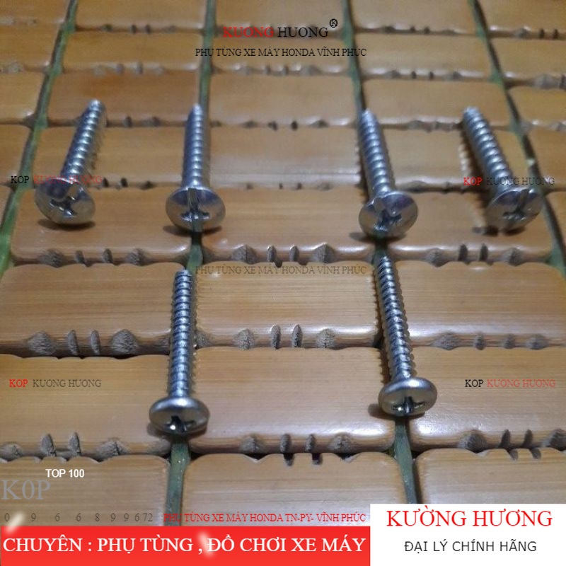 Combo 6 ốc vít gắn 2 mảnh nhựa đầu xe dream - vít xoắn 5ly