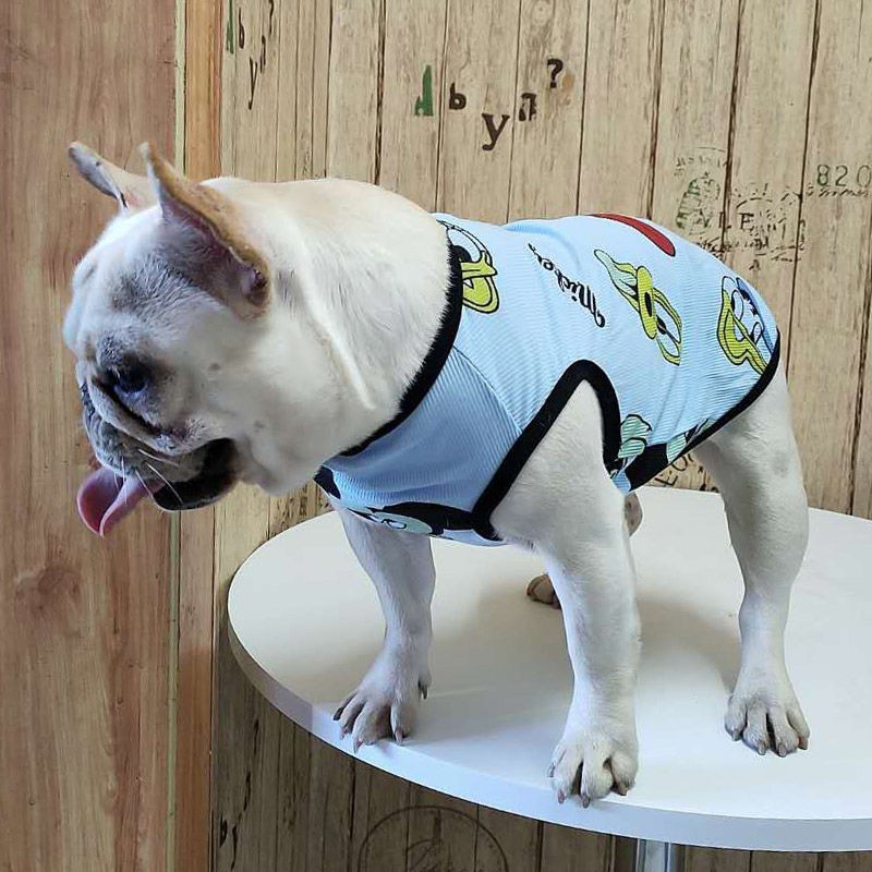 Chiến đấu quần áo mùa xuân và hè mỏng cho chó pug Anh bulldog cỡ trung vest con thú cưng