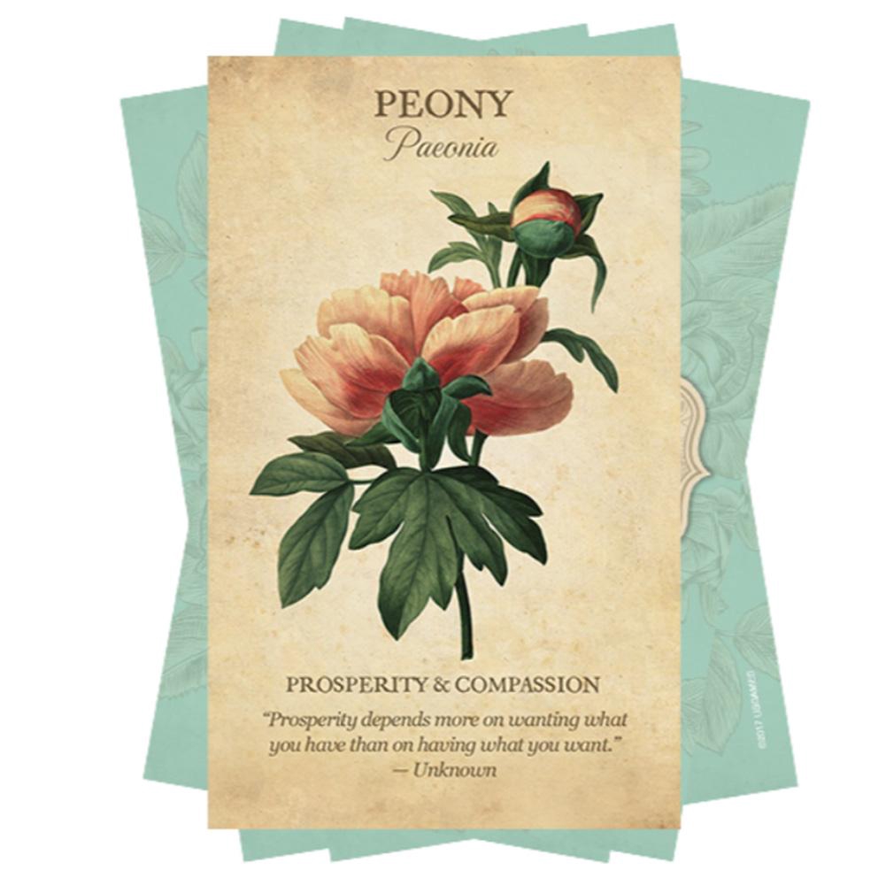 Bộ Bài Tarot Oracle Độc Đáo Thú Vị