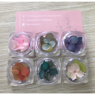 Hoa khô đắp ẩn trang trí móng set 6 hũ