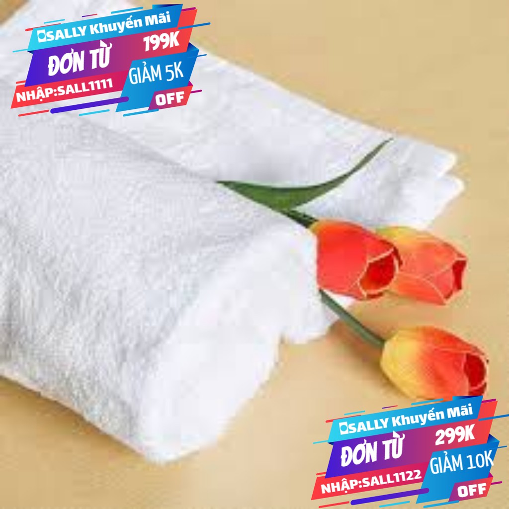 [RẺ VÔ ĐỊCH] COMBO 5 KHĂN LAU ĐA NĂNG COTTON 100%