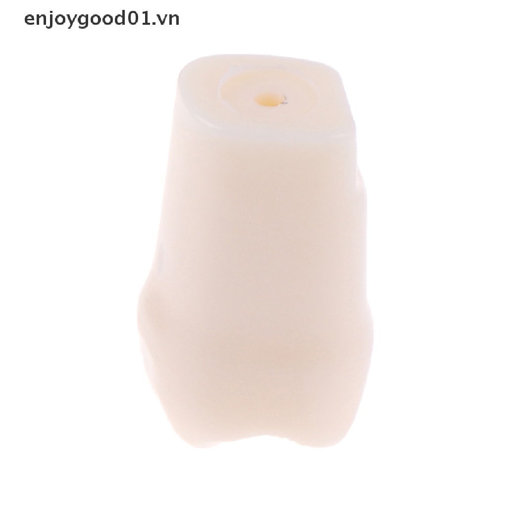 (Hàng Mới Về) 28 Răng Giả Bằng Nhựa resin Tự Nhiên Đặc Biệt Dùng Giảng Dạy Trong Nha Sĩ