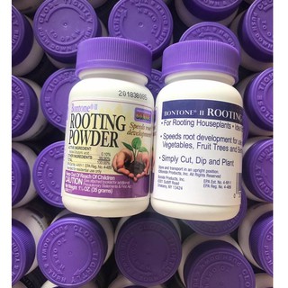 Rooting Powder siêu kích rễ (giâm cành, chiết cành, chống khuẩn)