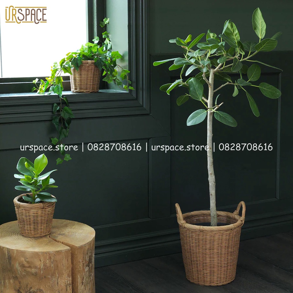 Sọt mây tròn URSPACE trồng cây, đựng đồ, sắp xếp không gian, trang trí decor có quai cầm