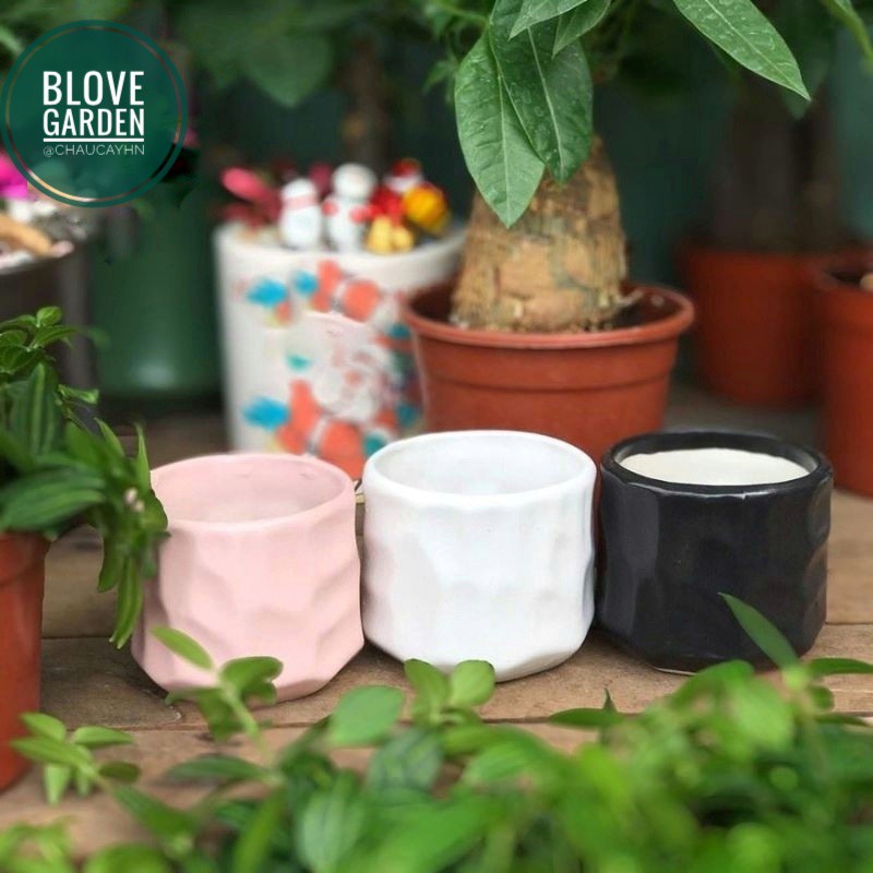 Chậu sứ Bát Tràng Hình mắt na trồng sen đá xương rồng,cây văn phòng, Decor Trang trí nhà cửa cực xinh sắn