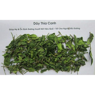 Dây thìa canh hỗ trợ điều trị tiểu đường của Dược Liệu Việt