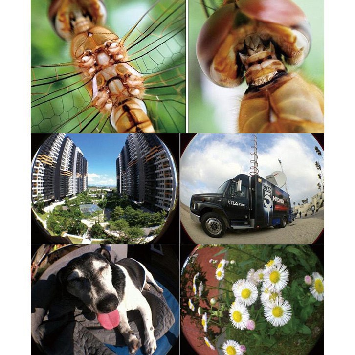 Lens Chụp Hình Điện Thoại 3 Trong 1 Nhỏ Xíu [Home Mart]