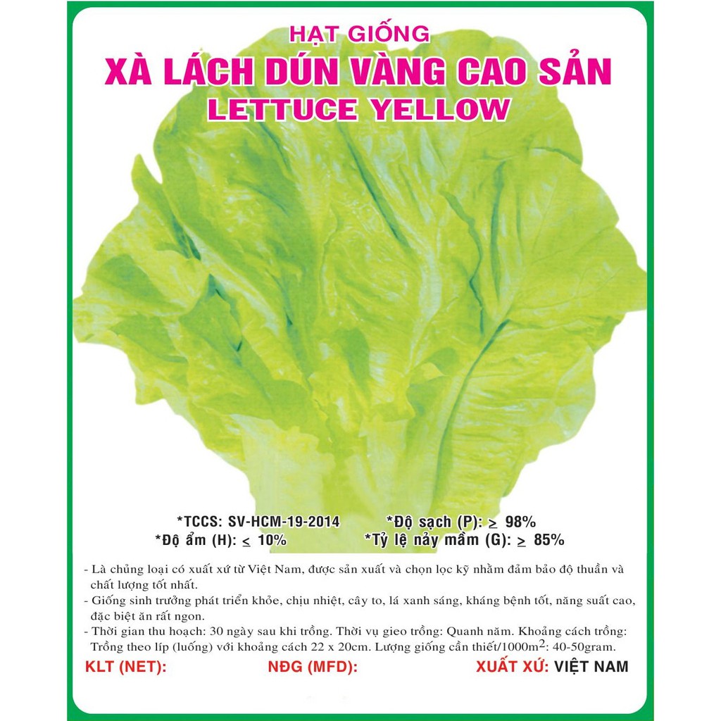 Hạt giống xà lách dún vàng cao sản VTP107 | Vạn Tín Store