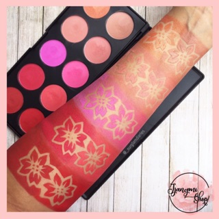 Bảng phấn má bh cosmetics glamorous blush 10 color blush palette