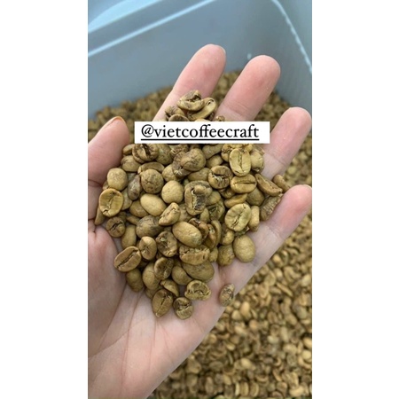 Arabica Hạt nguyên Chất 500gram | BigBuy360 - bigbuy360.vn