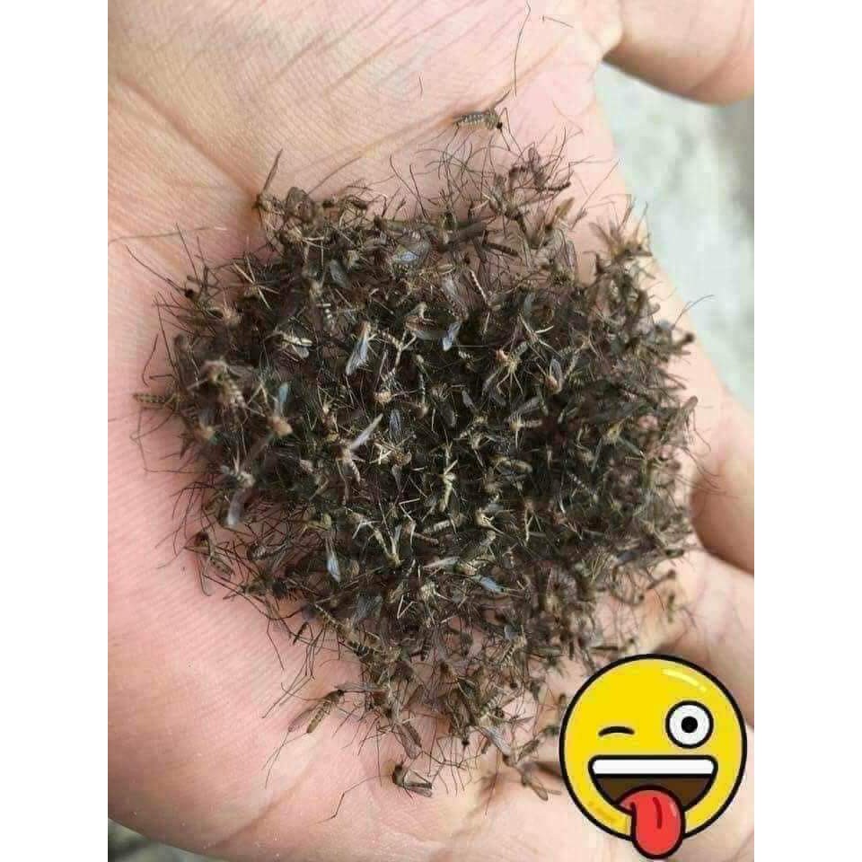 Hương muỗi ,hương muỗi bó 30 cây diệt muỗi hiệu quả cao