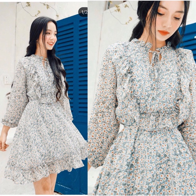 ĐẦM HOA BÈO NGỰC (KÈM HÌNH THẬT)