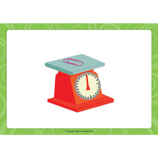 Flashcard Everybody up Starter 2nd
