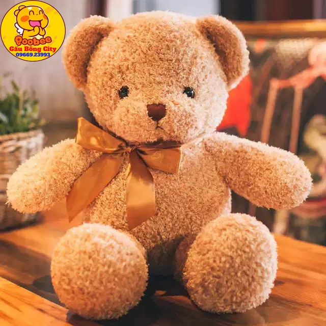 Gấu Bông Teddy Chỉ Cao Cấp Mềm Mịn