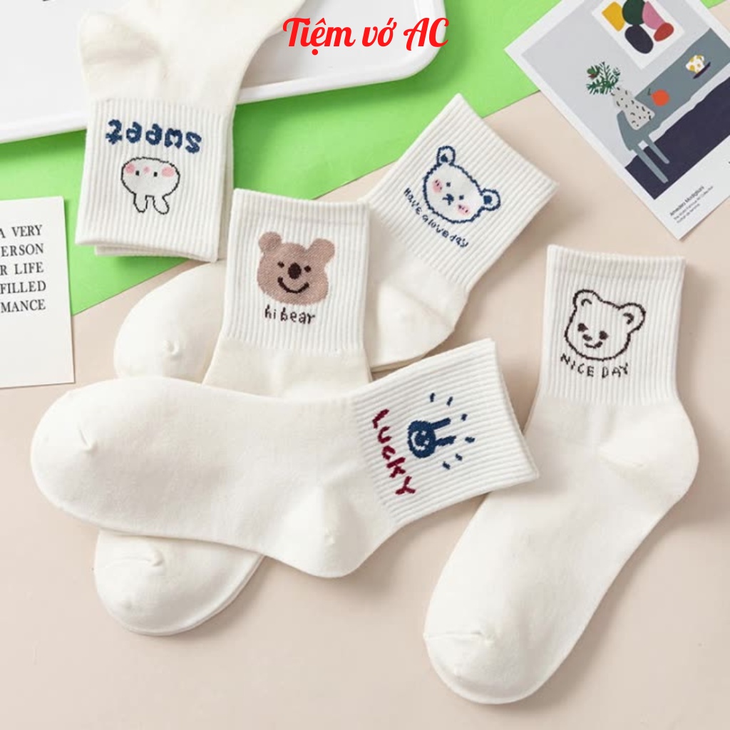 Tất cổ cao sét 10 đôi, vớ cao cổ hoạ tiết gấu - T02