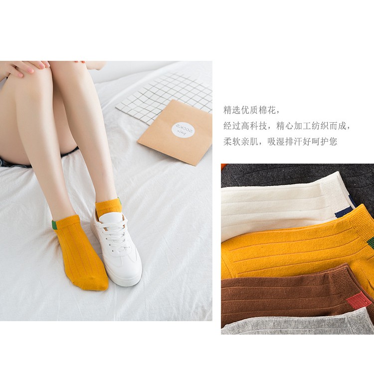 Tất cổ lỡ hàn quốc