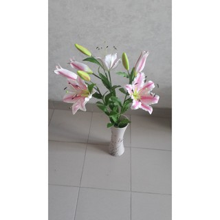 hoa đất sét