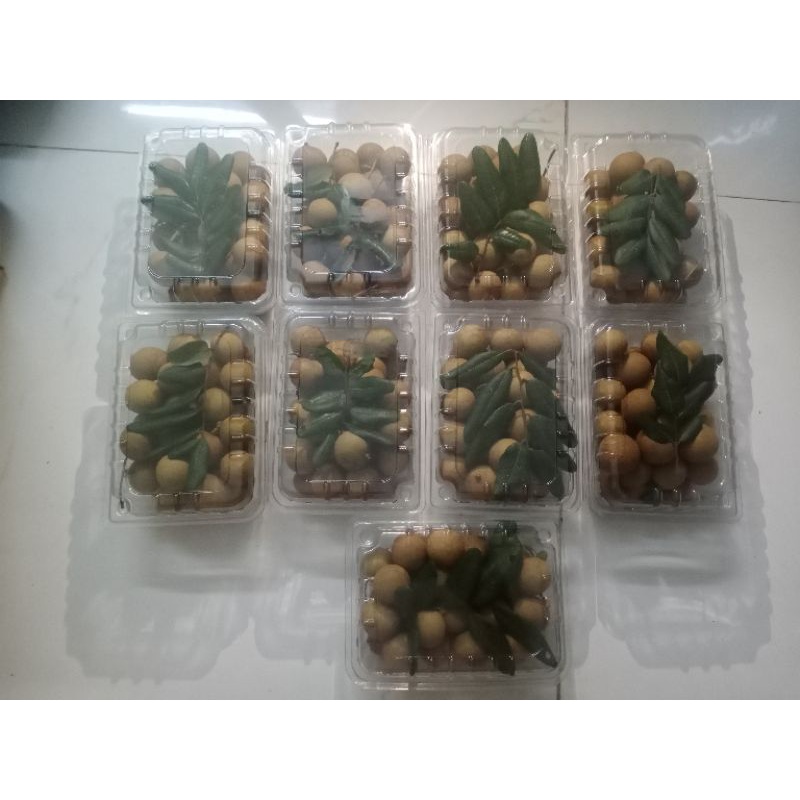 Nhãn xuồng cơm vàng